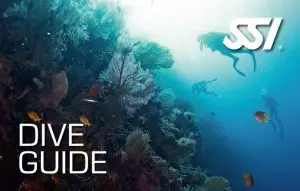 Excursiones de snorkeling en el Cabo de Gata