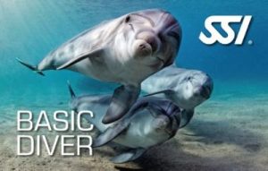 Scuba Skills Update